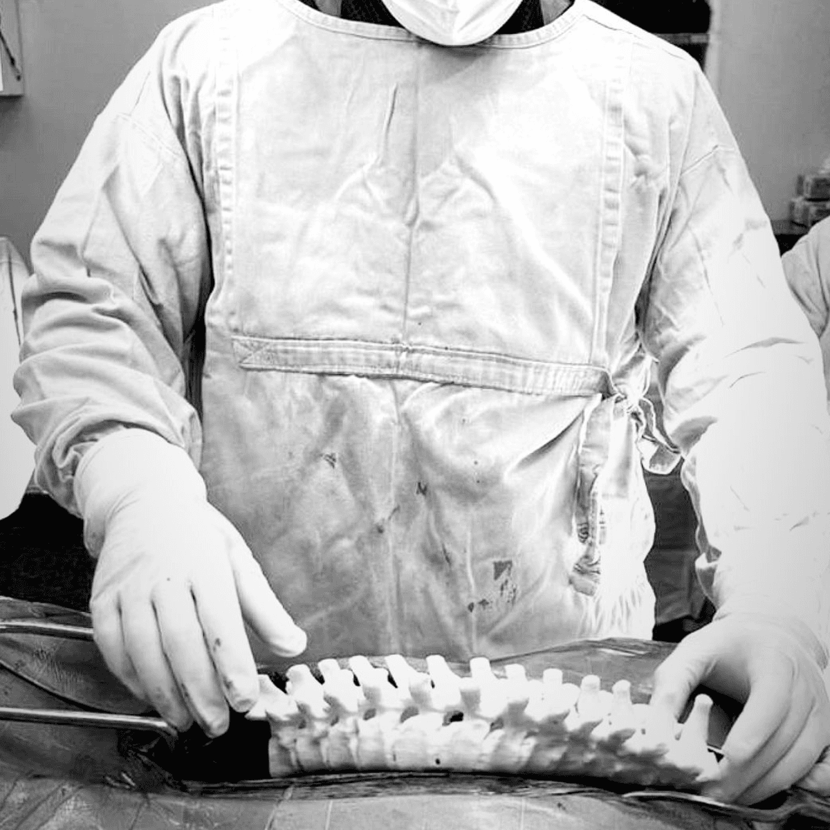 MGS Tecnologia em biomodelos